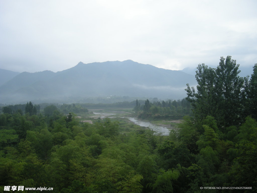 绿色风景