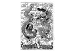 龙纹