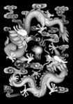 龙