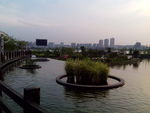城市夕阳
