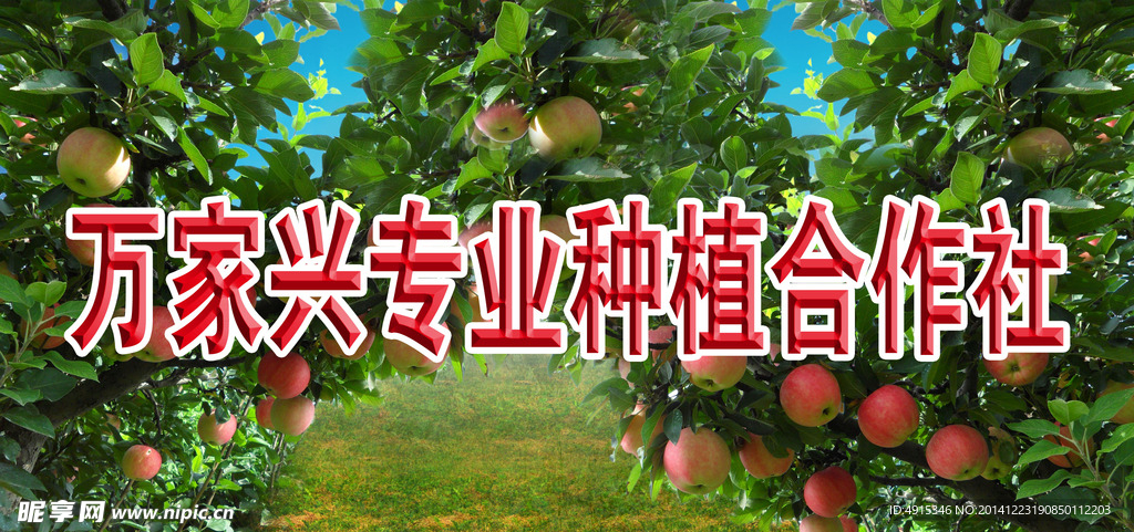 苹果