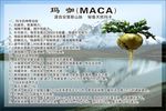玛咖不干胶