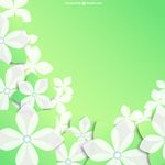 小百花