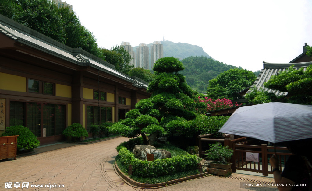 园林建筑木房楼房