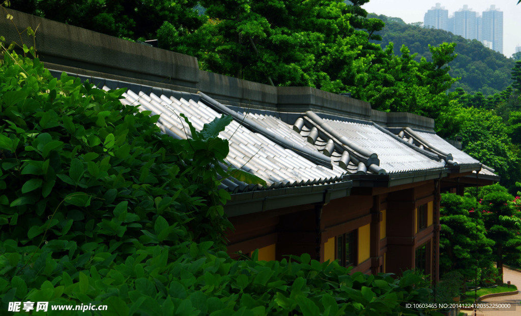 建筑风景南莲园池