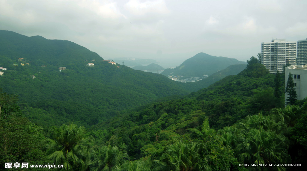 森林别墅山水