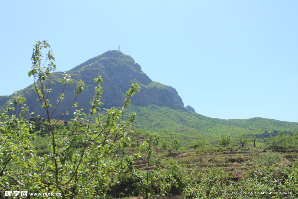 高山