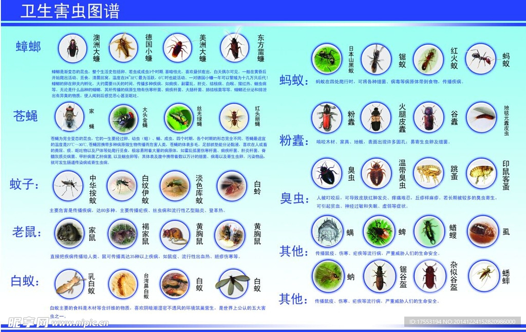 害虫图谱