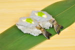 虎虾寿司