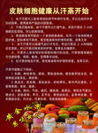 汗蒸彩页