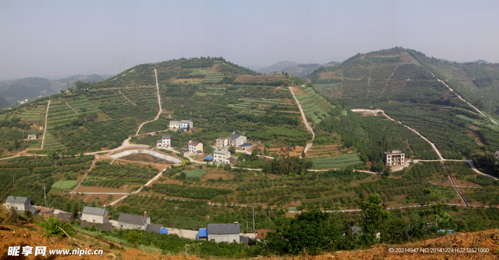 柑橘园