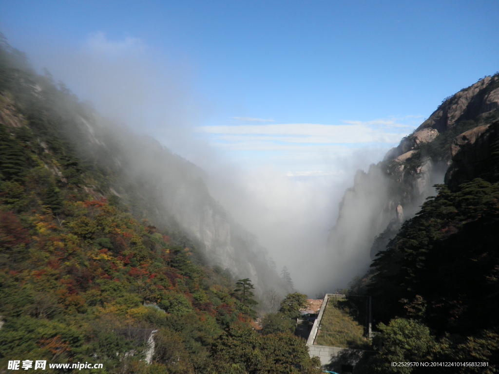 黄山云雾