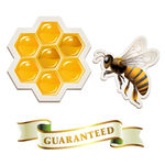 蜂蜜 蜂蜜设计