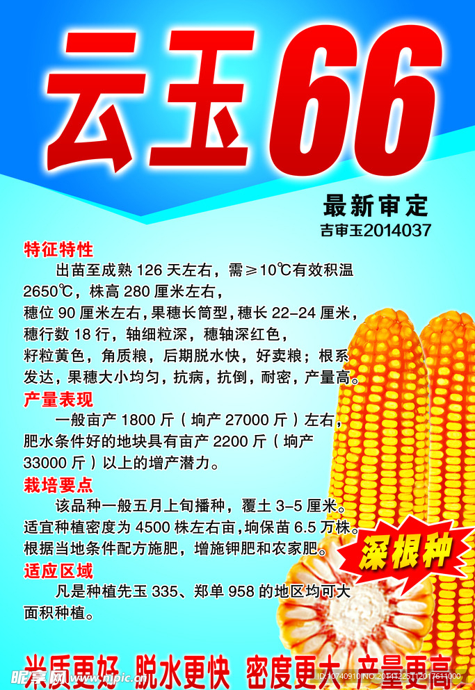 云玉66