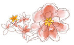 花纹