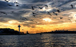 夕阳湖畔