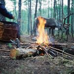 野炊
