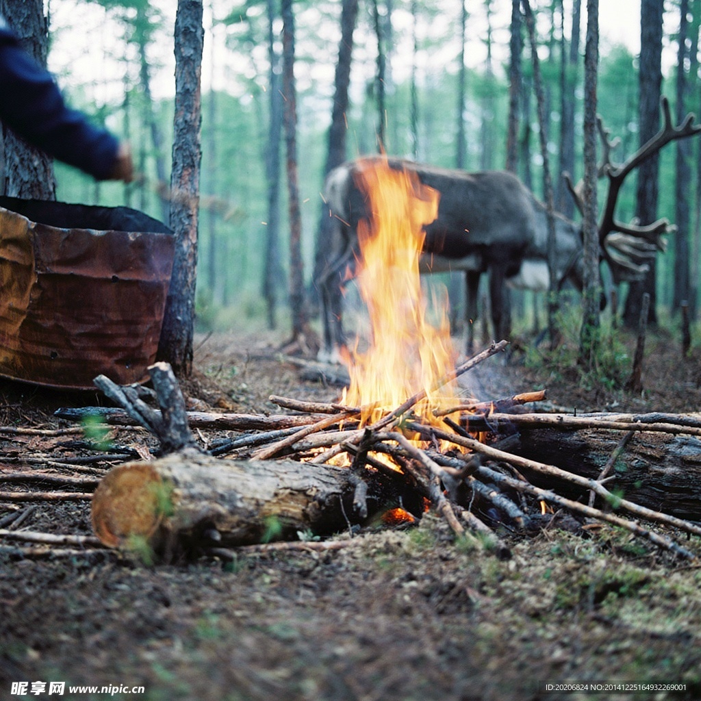 露营|篝火|溪边|生活的小惬意|摄影|人文/纪实|家居摄影师_Tutu - 原创作品 - 站酷 (ZCOOL)