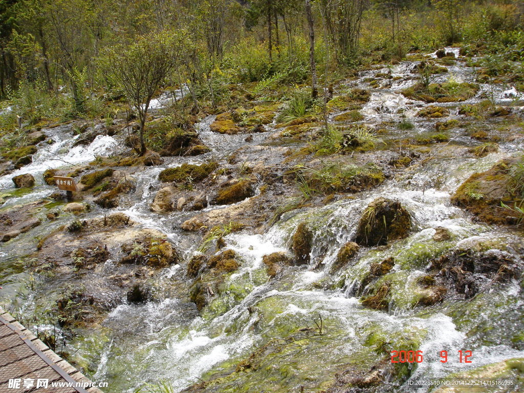 九寨子沟五花海风景