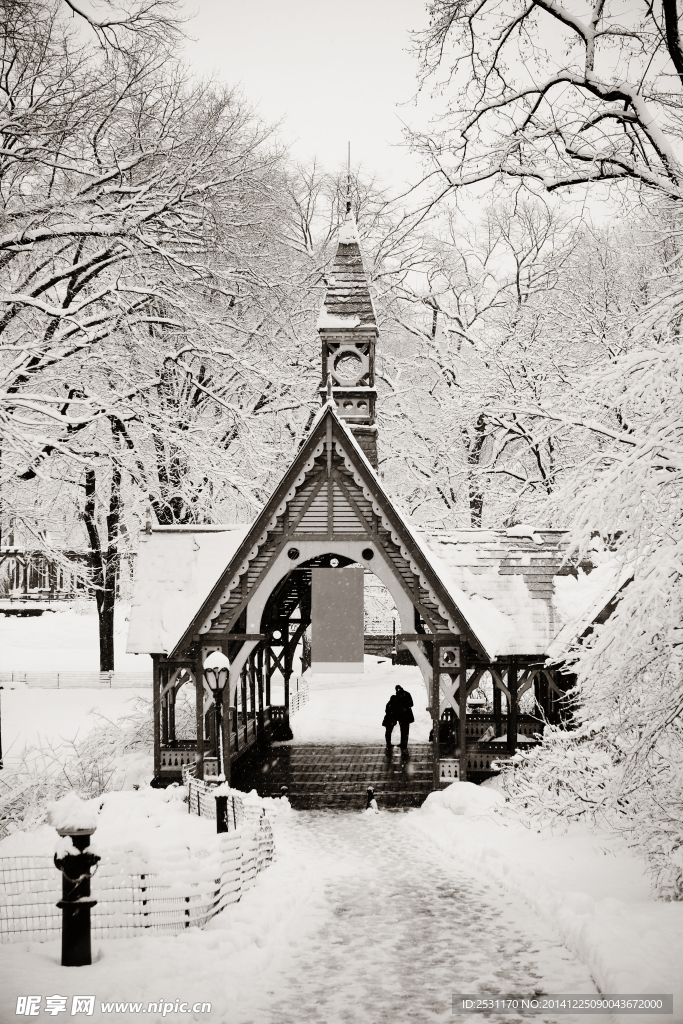 雪景