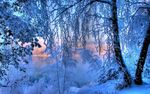湖边雪景