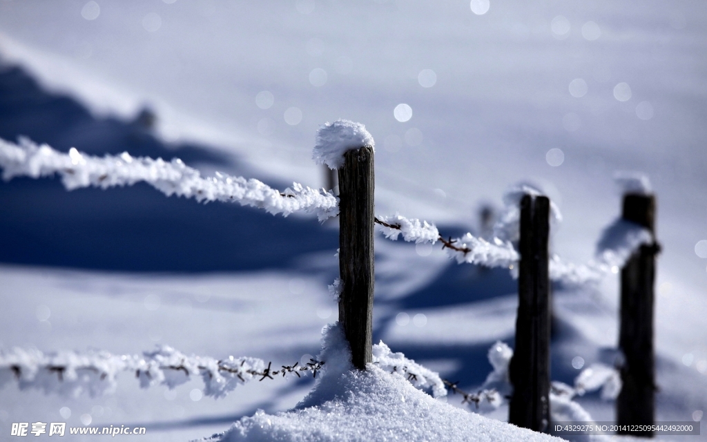 路边雪景