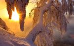 雪后夕阳