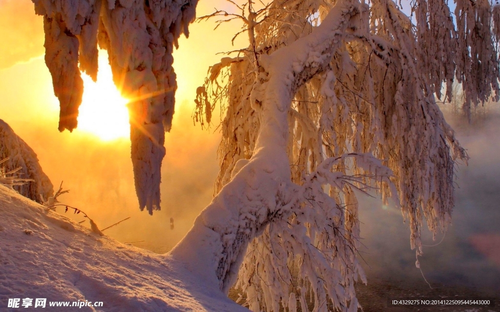 雪后夕阳