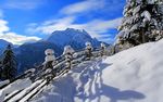 雪后风景