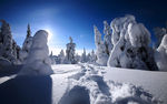 雪后风景