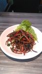 茶树菇