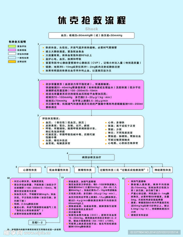 休克抢救流程