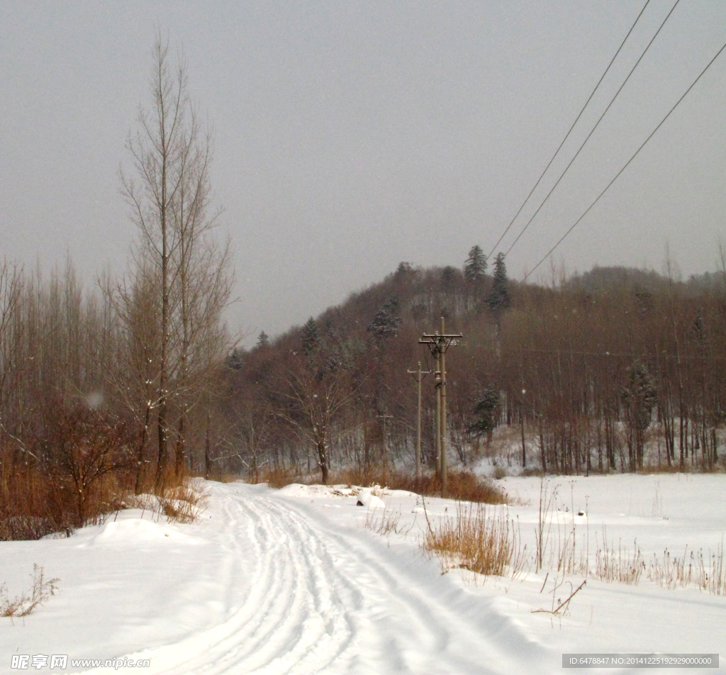 雪辙