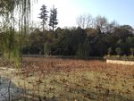 远景公园