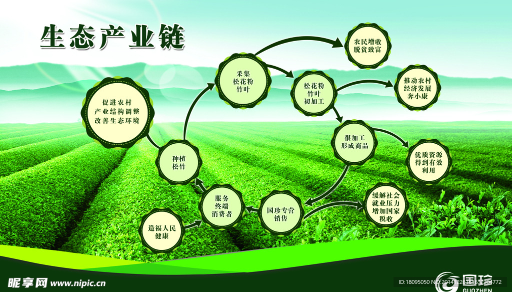 国珍绿色产业链