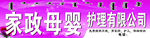 家政
