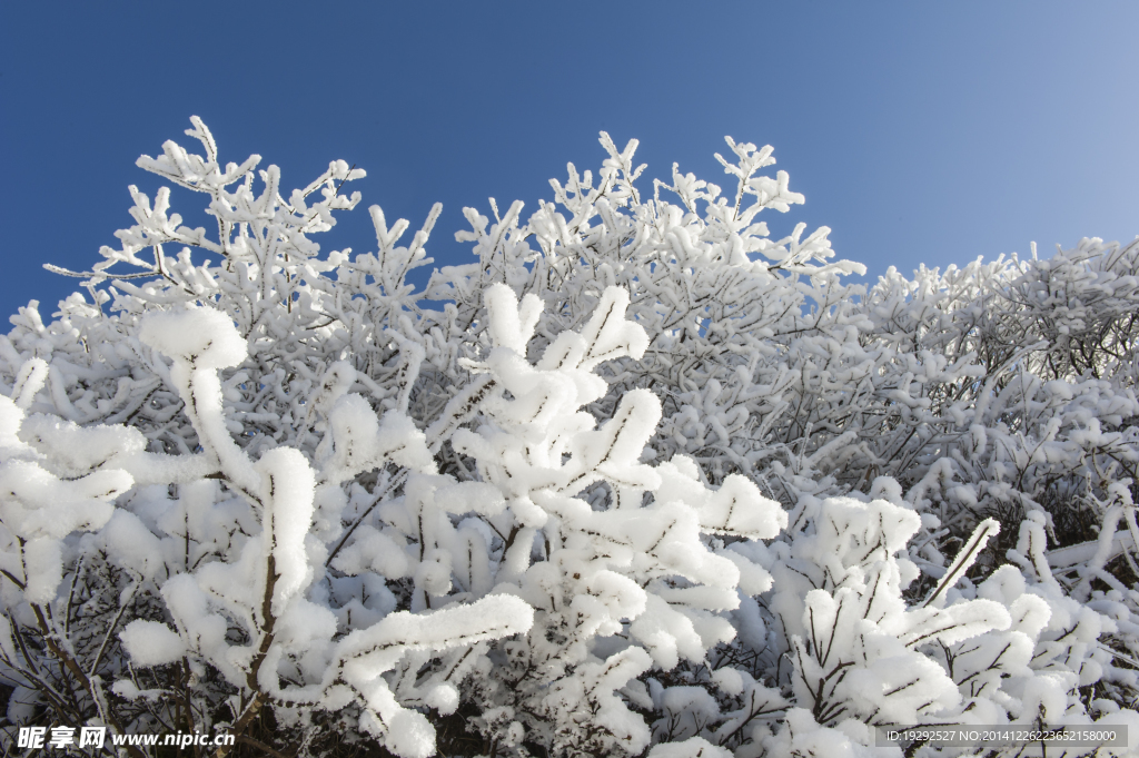 雪景