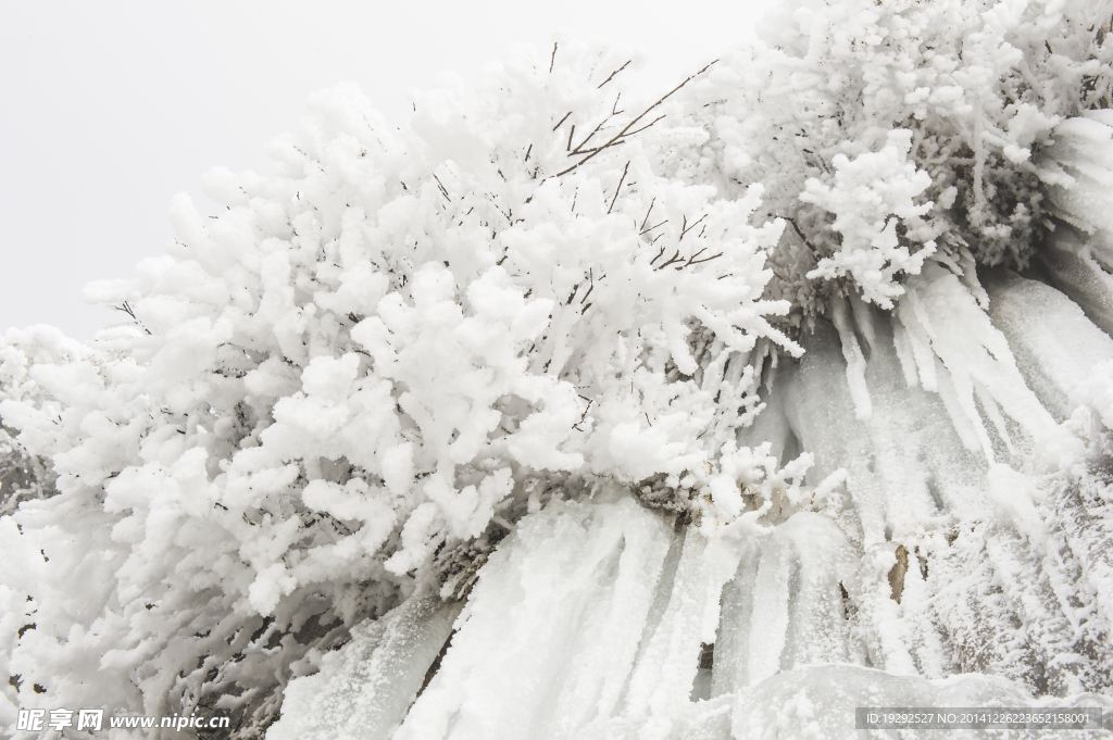 雪景