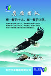 鹰雁团队执行力领导力