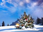 蔚蓝星空 圣诞树 白雪大地