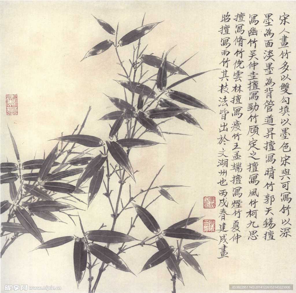 竹子工笔画