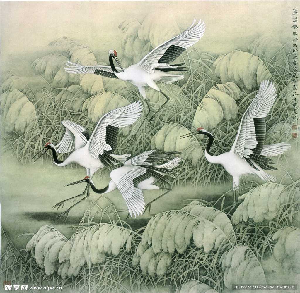 飞鹤工笔画