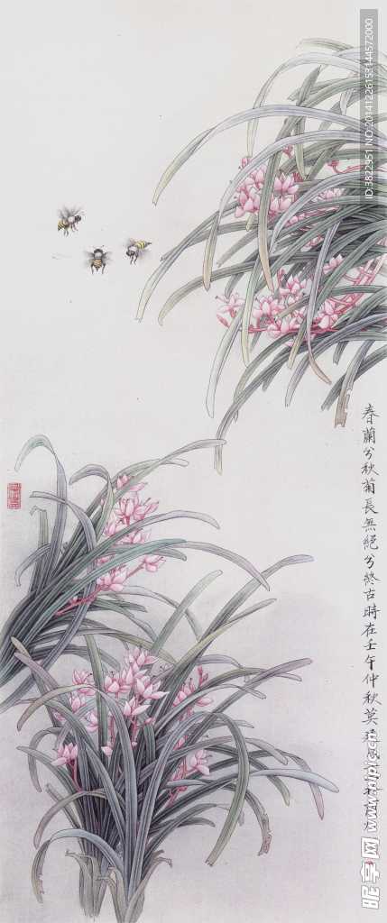 兰花工笔画