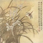 兰花工笔画