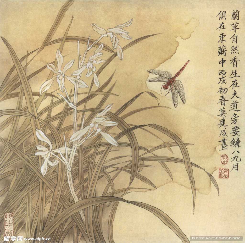 兰花工笔画