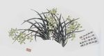 兰花工笔画
