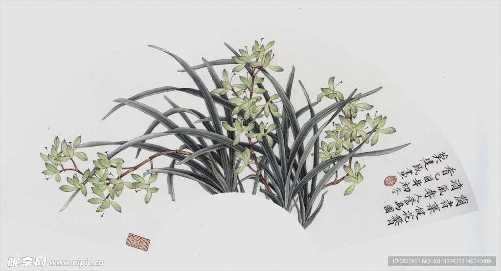 兰花工笔画