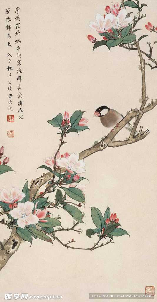 花鸟工笔画