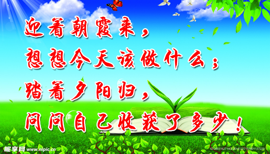 校园展板