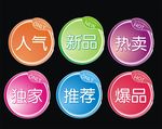 常用标签